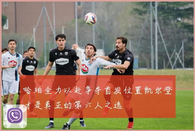 哈珀全力以赴争夺首发位置凯尔登才是真正的第六人之选