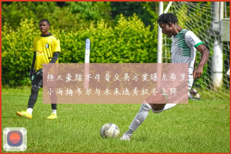 热火豪赌字母哥交易方案曝光希罗小海梅韦尔与未来选秀权齐上阵